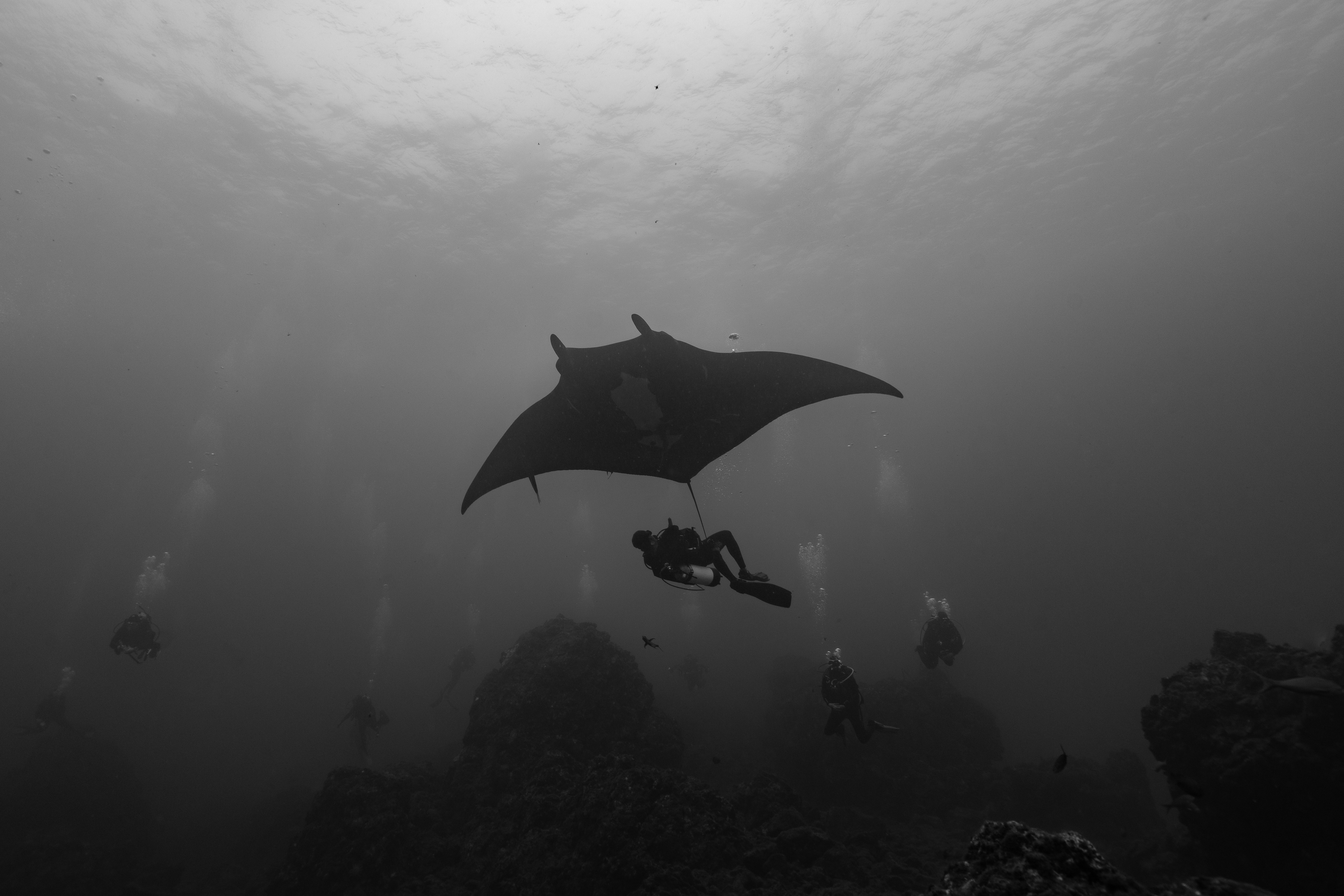 hire underwater housing in mexico